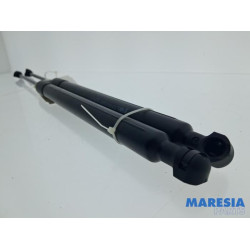 Peugeot - 2008 - Set of tailgate gas struts