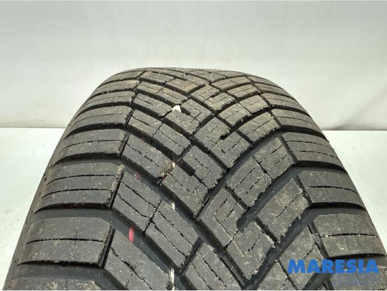 Renault - Scenic - Reifen