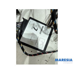 Renault - Scenic - Anhängerkupplung