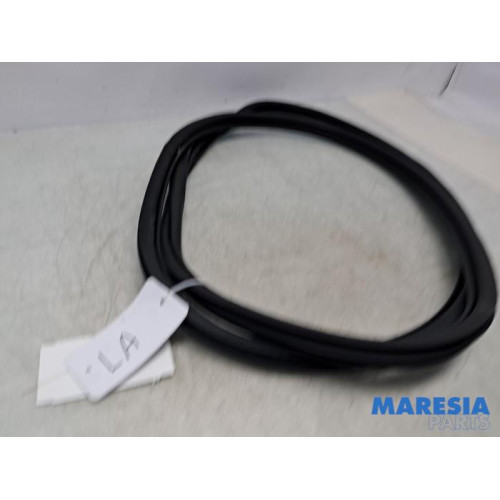 Peugeot - 3008 - Portierrubber 4Deurs links-achter