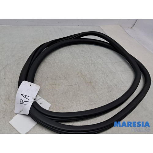 Peugeot - 3008 - Portierrubber 4Deurs rechts-achter