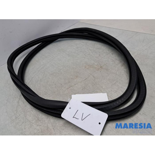 Peugeot - 3008 - Front door seal 4-door, left