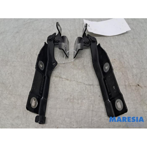 Citroen - C3 - Bonnet Hinge