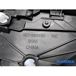 Peugeot - 2008 - Sierstrip