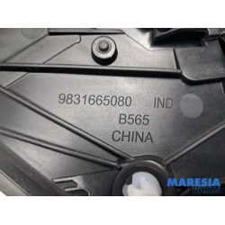 Peugeot - 2008 - Sierstrip