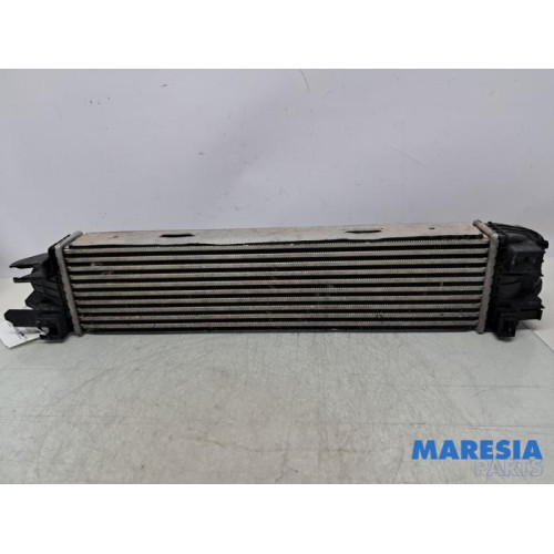 Renault - Trafic - Ladeluftkühler