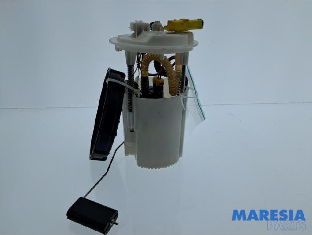 Renault - Scenic - Electric fuel pump