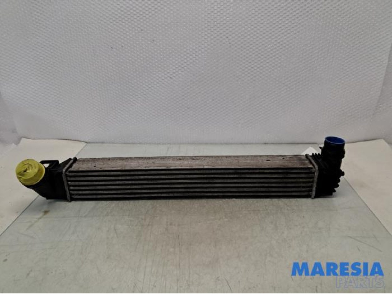 Renault - Scenic - Intercooler