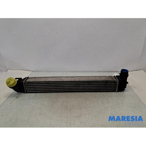 Renault - Scenic - Ladeluftkühler