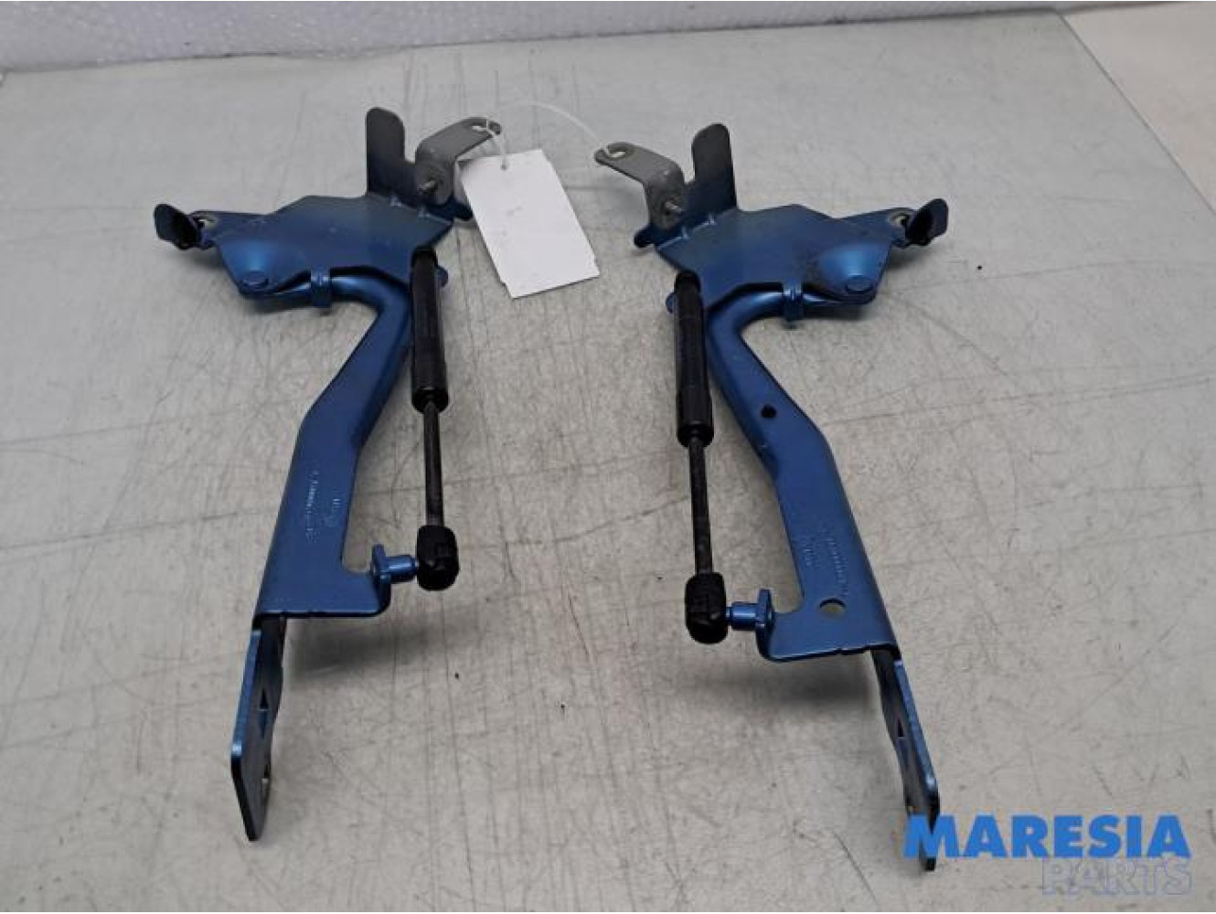 Renault - Scenic - Bonnet Hinge
