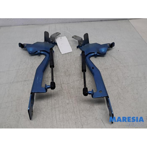 Renault - Scenic - Bonnet Hinge