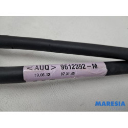 Renault - Scenic - Gear stick