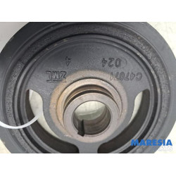 Renault - Clio - Krukas Poelie