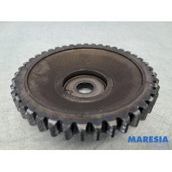 Renault - Clio - Nokkenas Tandwiel