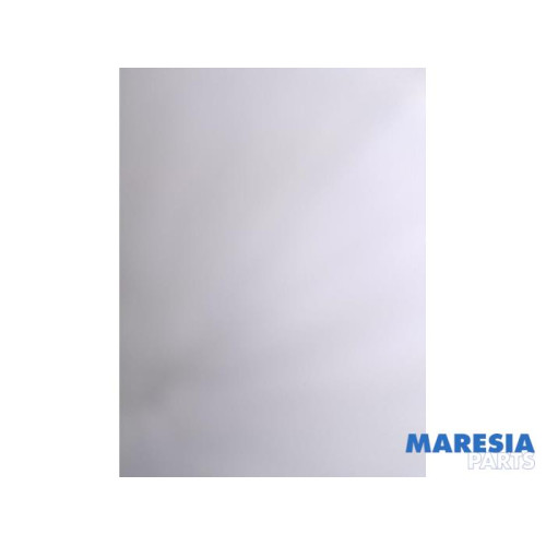 Renault - Trafic - Driehoeks Ruit rechts-voor