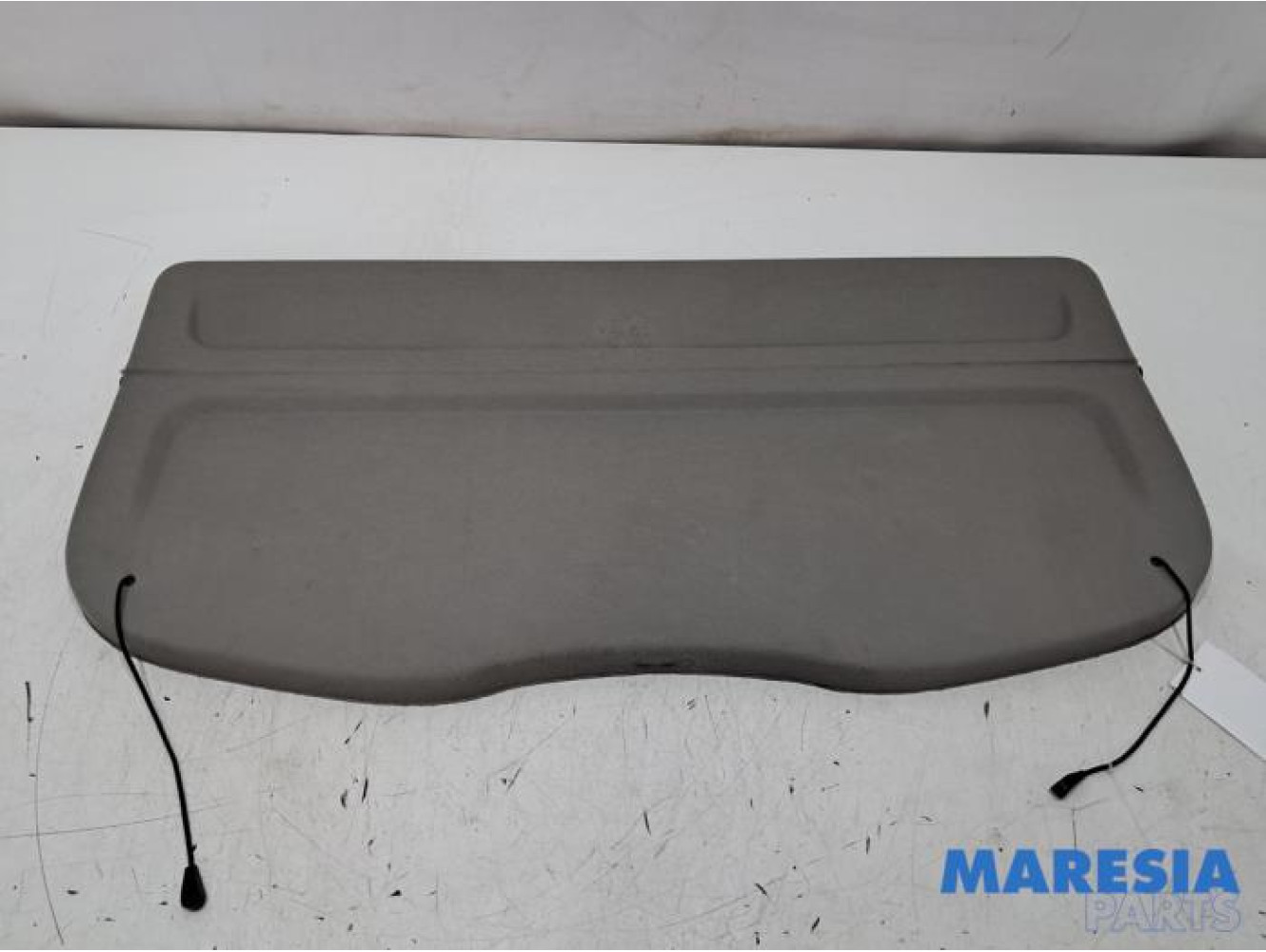 Renault - Megane Scenic - Plage arrière