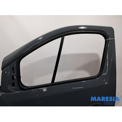 Renault - Trafic - Tür 2-türig links