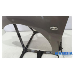 Citroen - Berlingo - Scherm links-voor