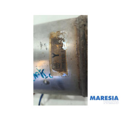 Renault - Trafic - Katalysator