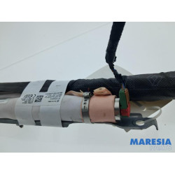 Renault - Trafic - Airbag hemel rechts