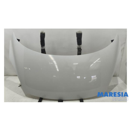 Renault - Grand Scenic - Motorkap