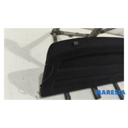 Renault - Clio - Hutablage