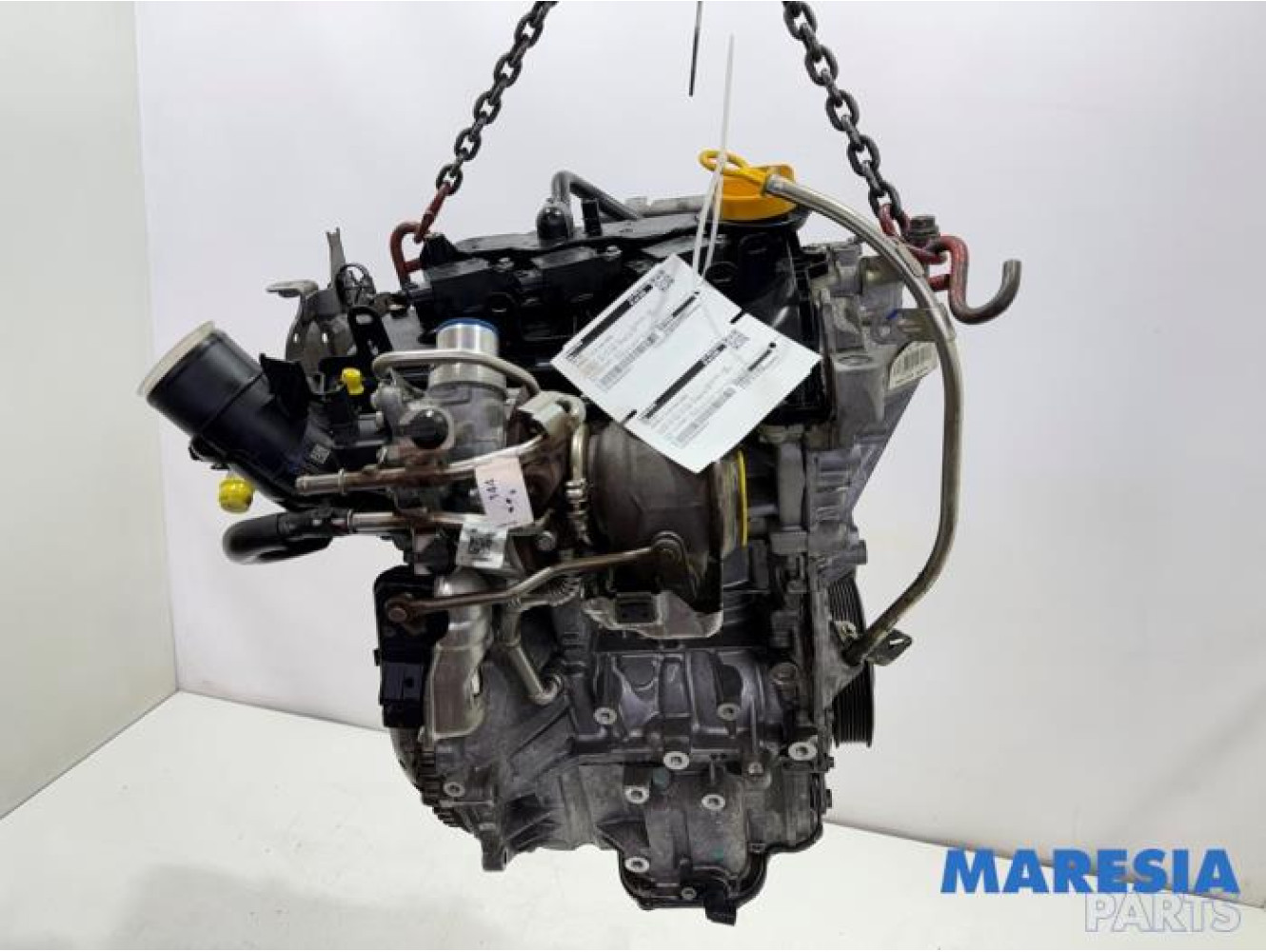 Renault - Clio - Motor