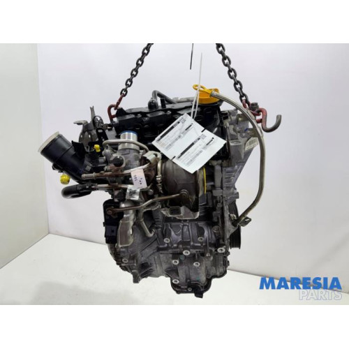 Renault - Clio - Motor
