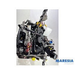 Renault - Clio - Motor