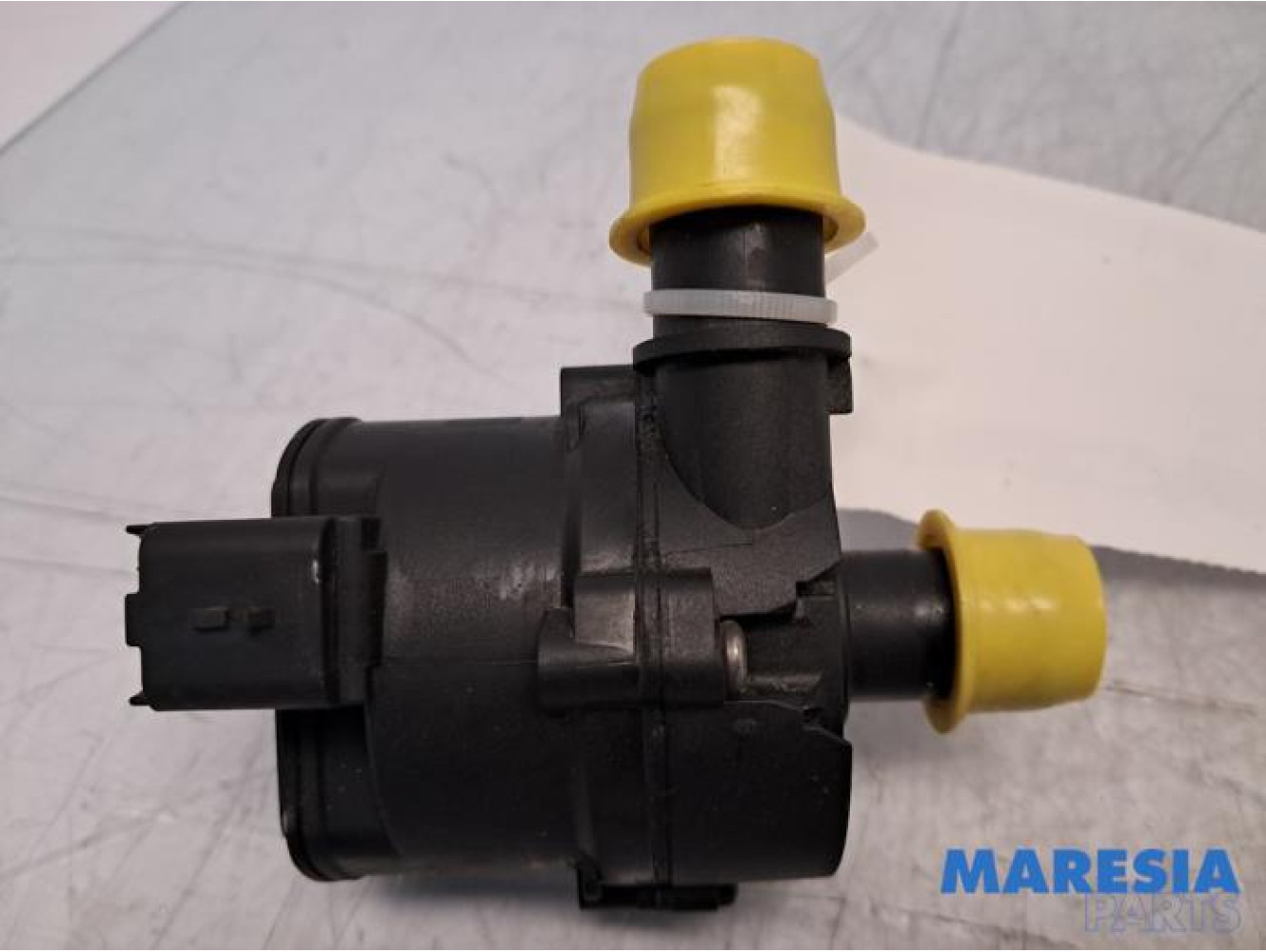 Renault - Clio - Extra waterpomp