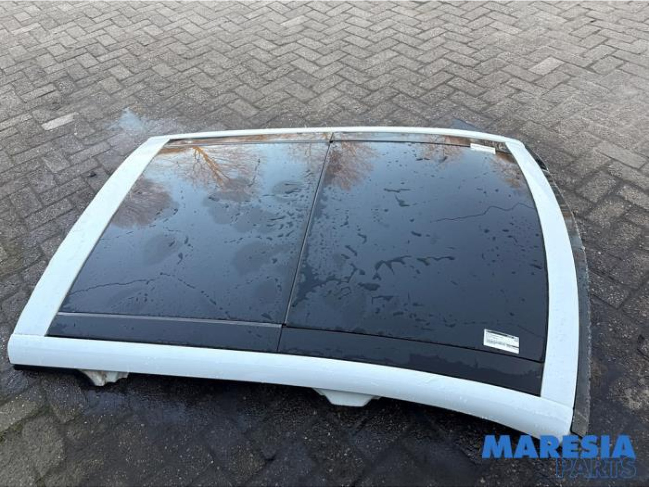 Renault - Grand Scenic - Schuifdak