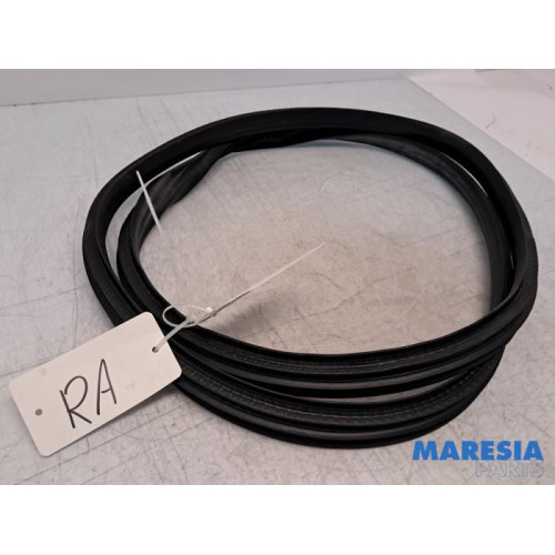 Renault - Clio - Portierrubber 4Deurs rechts-achter