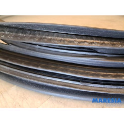 Renault - Clio - Portierrubber 4Deurs links-achter