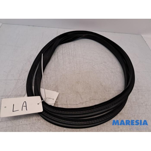 Renault - Clio - Portierrubber 4Deurs links-achter