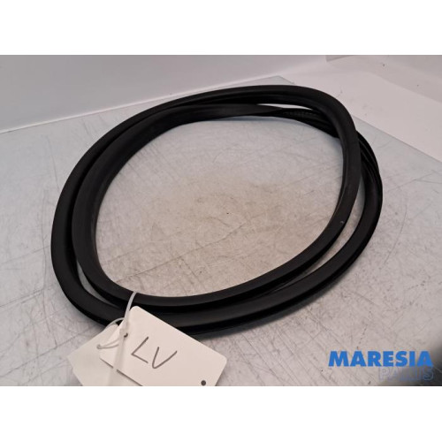 Renault - Clio - Front door seal 4-door, left