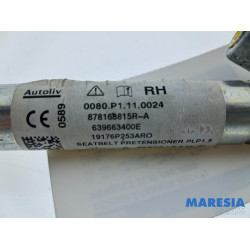 Renault - Clio - Gurtsrammer rechts