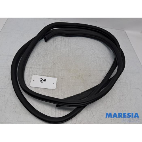 Renault - Trafic - Schuifdeur Rubber rechts