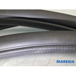 Renault - Trafic - Portierrubber 2Deurs links