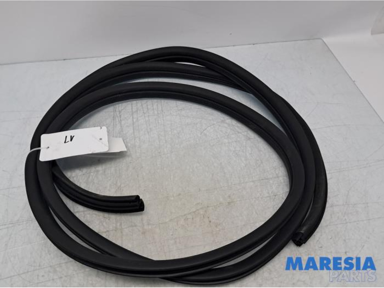 Renault - Trafic - Portierrubber 2Deurs links