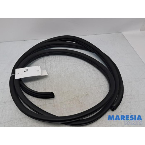 Renault - Trafic - Portierrubber 2Deurs links