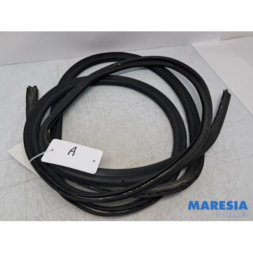 Renault - Trafic - Achterkleprubber