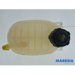 Renault - Clio - Expansievat