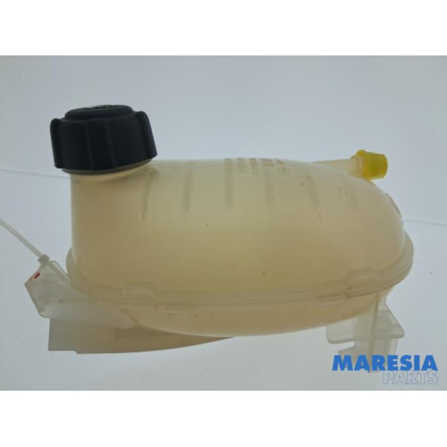 Renault - Clio - Expansievat