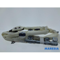 Renault - Clio - Airbag plafond droite