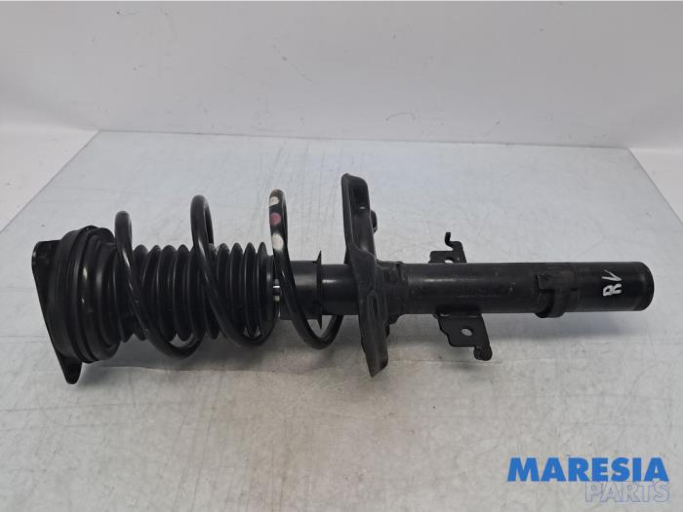 Renault - Megane - Front shock absorber rod, right