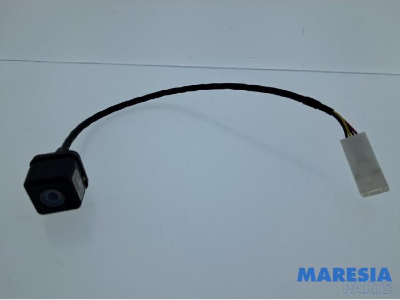 Renault - Grand Scenic - Rückfahrkamera