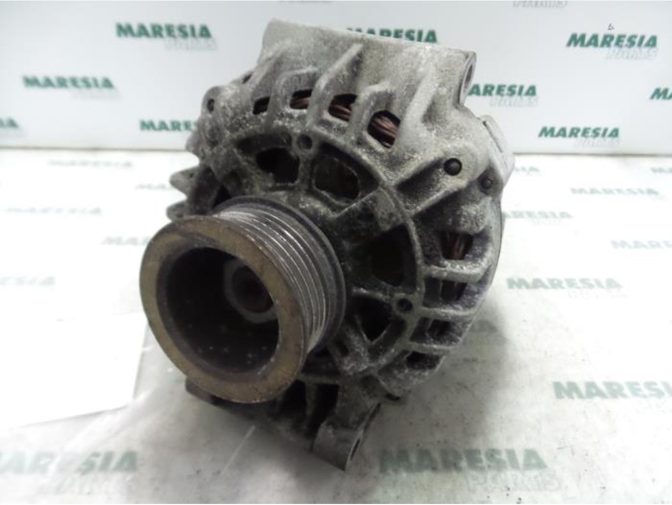 Renault - Megane Scenic - Dynamo