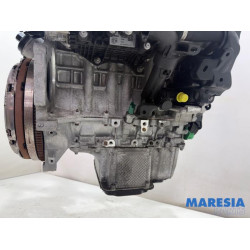 Citroen - Jumpy - Moteur