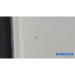 Citroen - Jumpy - Hecktür Bus-Lieferwagen