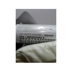 Peugeot - 307 - Airbag Himmel links